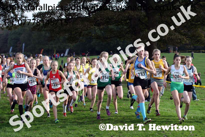 Girls under-15s Northern Cross Country Relays. Photo: David T. Hewitson/Sports for All Pics